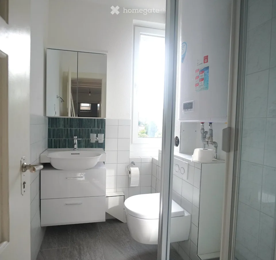 Appartement de 3 pièces rénové, nouvelle cuisine, salle de bain & chauffage par le sol