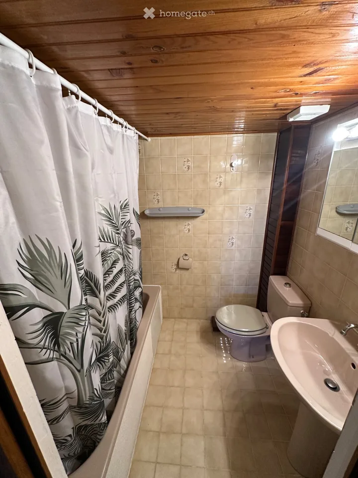 Studio Meublé 38m2 La Cure