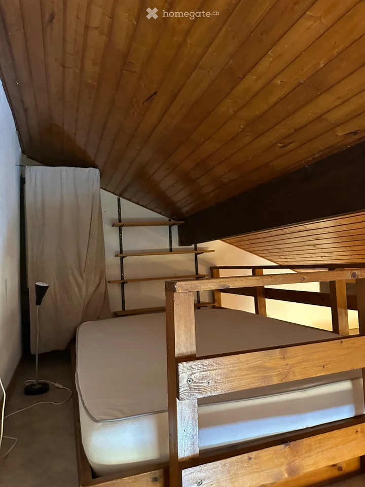 Studio Meublé 38m2 La Cure