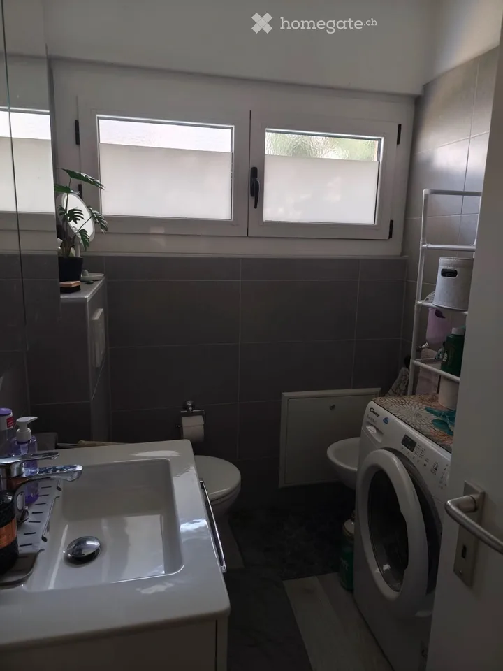 Sous-locataire pour appartement 3,5 pièces à Castione