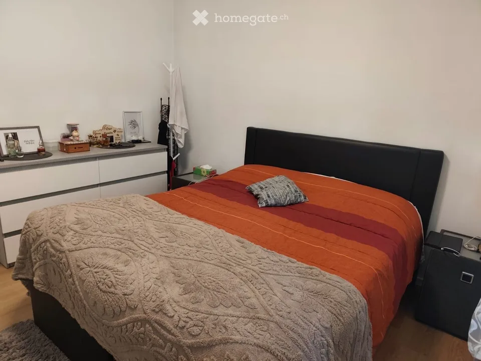 Sous-locataire pour appartement 3,5 pièces à Castione