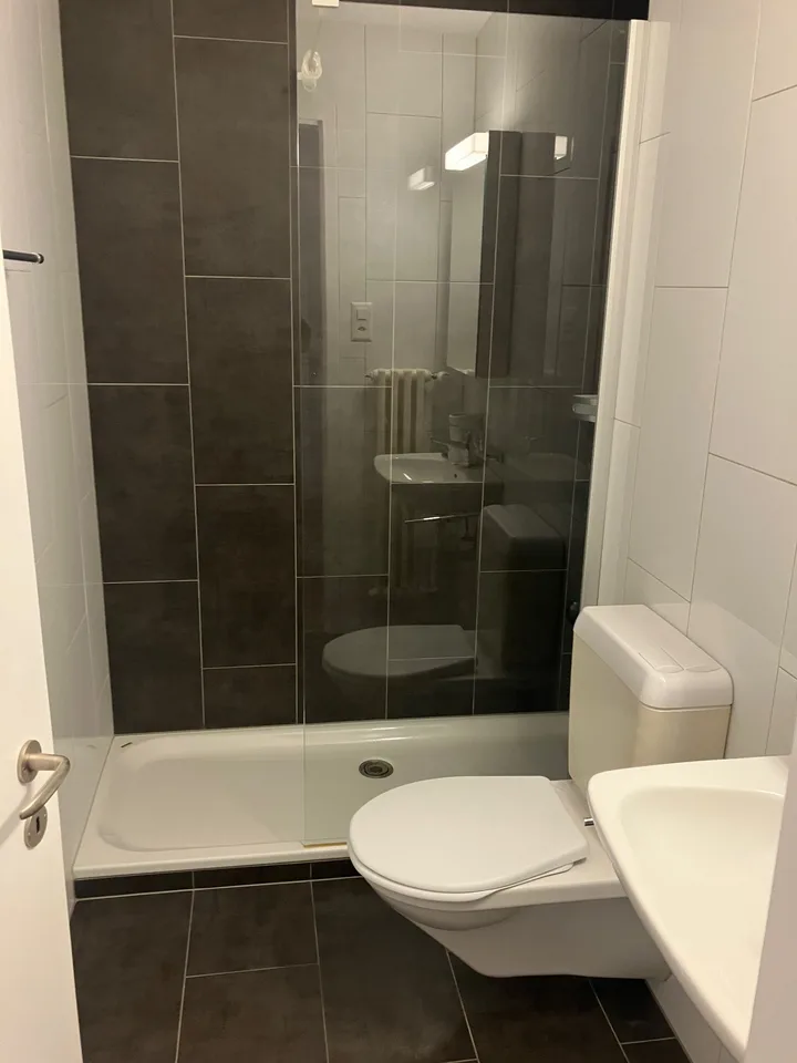 Appartement 3.5 pièces / Première location après rénovation complète