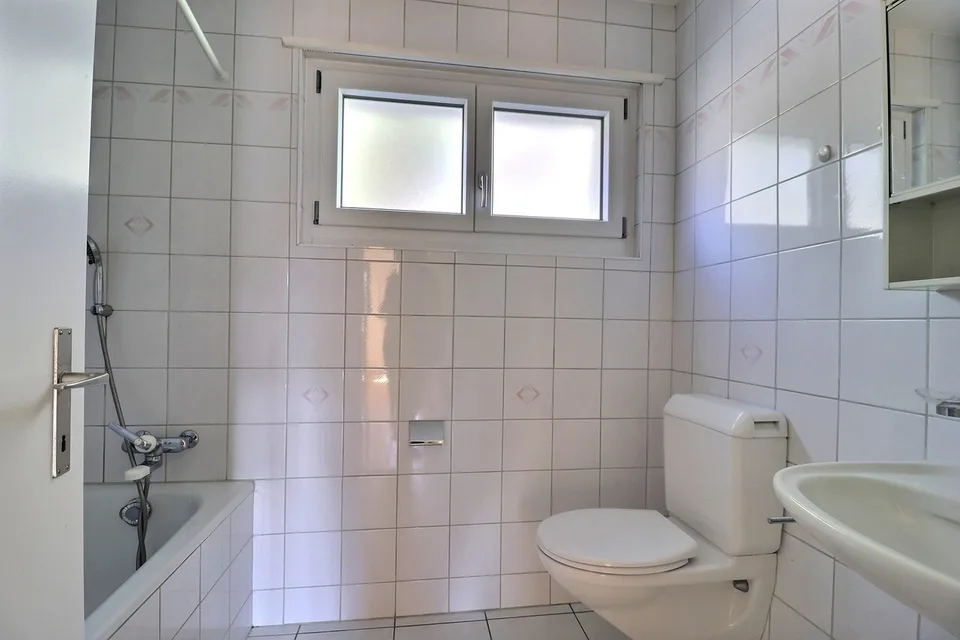 Charmante maison de deux appartements de 3.5 p et 2.5 p