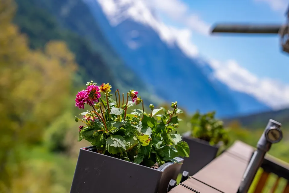 Hochwertig renoviertes Chalet mit Wellnessbereich, Weisshornblick und etabliertem Vermietungskonzept – Foto 10 von 30