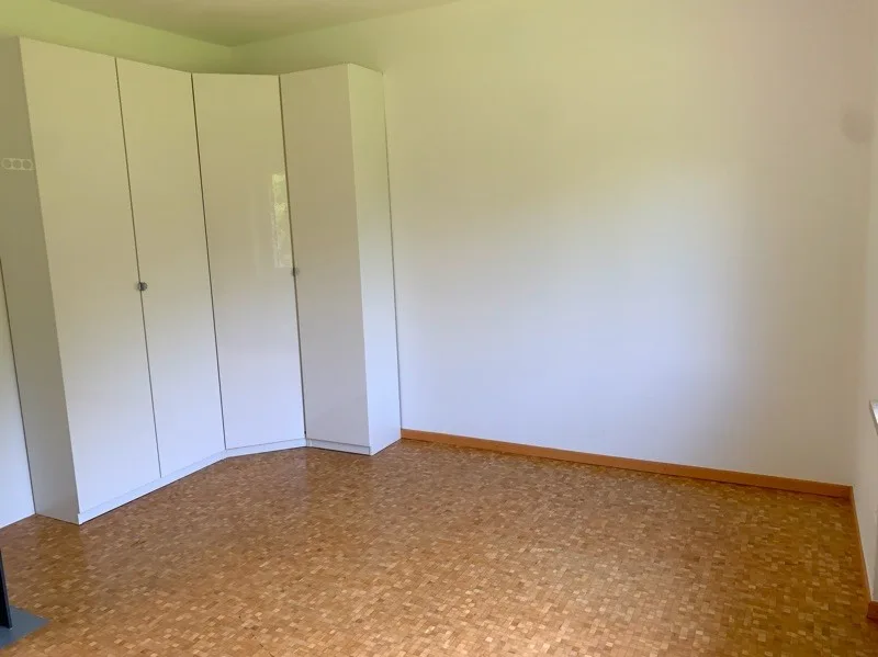 Grande casa bifamiliare parzialmente ristrutturata immersa nel verde – foto 25 di 30