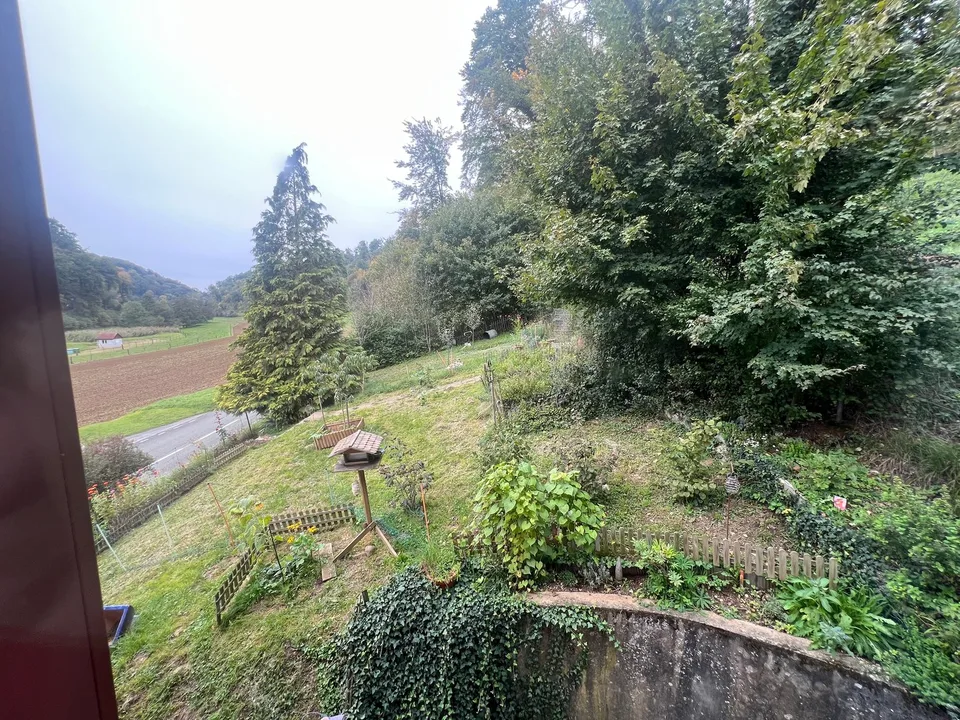 Edificio con rendita e 3 appartamenti oltre a 1'400m2 di spazio verde – foto 11 di 12
