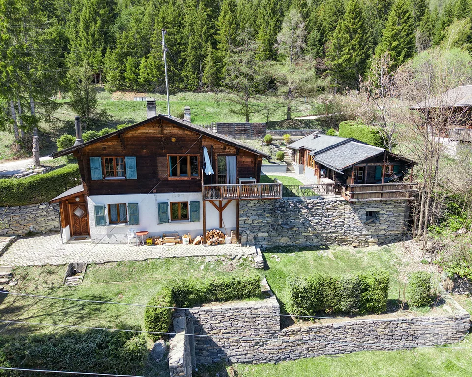 Charmant chalet de 2 appartements + dépendance, belle situation