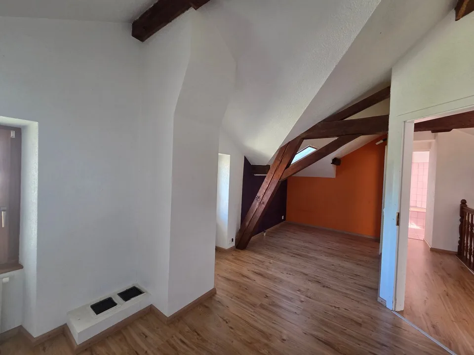 Antica casa individuale di carattere con 2 appartamenti & 1 studio a Bex