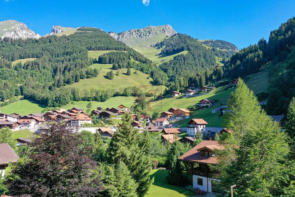 Magnifique chalet sur plan à Jaun