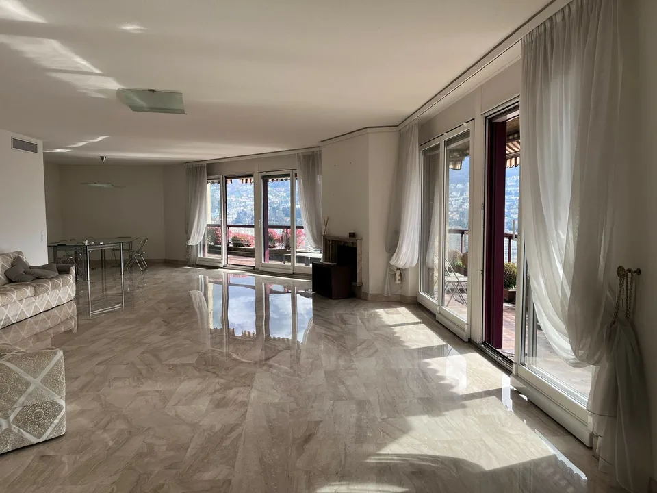 Attic with Terrace and Lake View