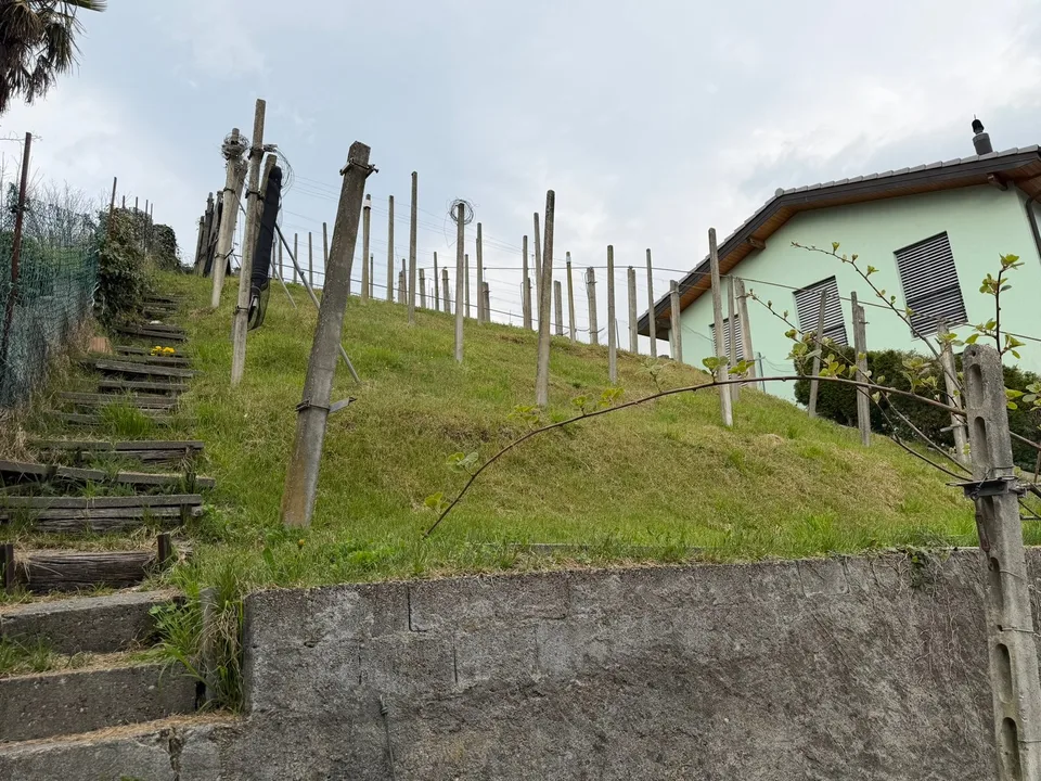 Casa bifamiliare 2.5 + 4.5 locali a Giubiasco - Loro