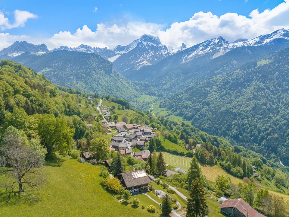 Proche de Gryon - Panorama d'exception sur le Muveran et Dents-du-Midi Chalet spacieux sans nuisance avec 2.5 pces indépendant