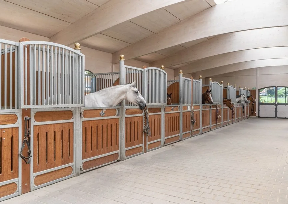 Esclusiva Struttura Equina per Cavalieri Professionisti in Vendita