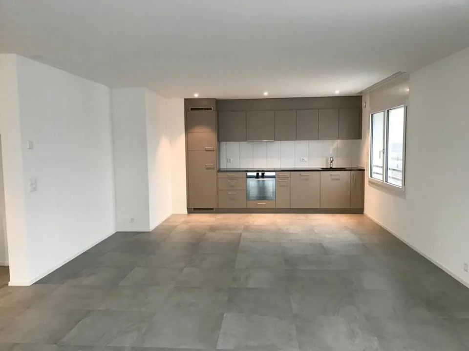 Appartamento attico esclusivo con grande terrazza e vista panoramica a Schötz