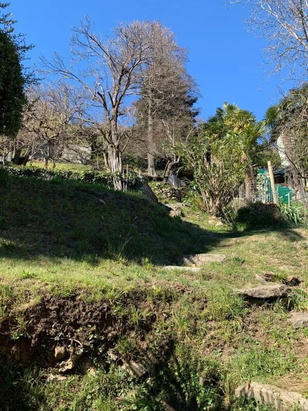 Bauland von 1548 m² mit Seeblick, Orselina – Foto 8 von 8