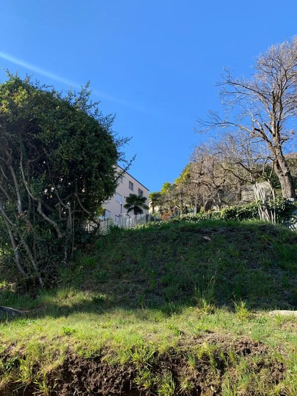 Bauland von 1548 m² mit Seeblick, Orselina – Foto 6 von 8