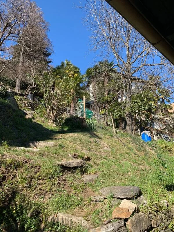Bauland von 1548 m² mit Seeblick, Orselina – Foto 7 von 8
