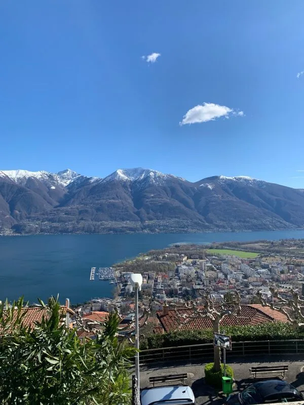 Terreno edificabile di 1548 mq con vista lago, Orselina