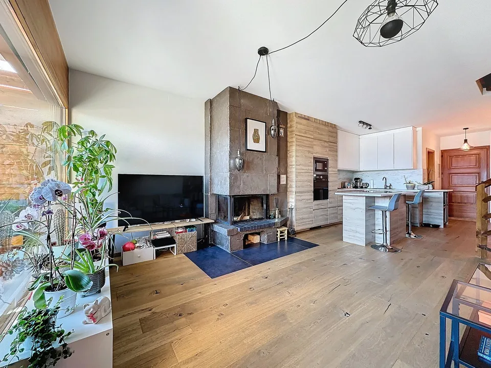 SUPERBE APPARTEMENT EN DUPLEX DE 3.5 PIÈCES AVEC TERRASSE – photo 6 sur 20