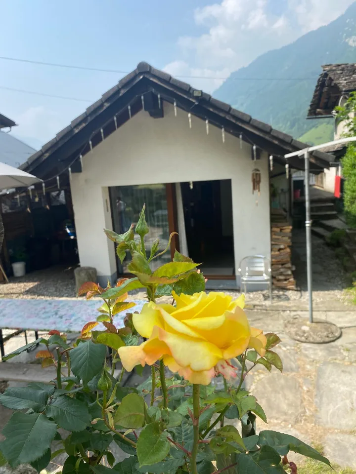 Mesocco, zona Andergia, vendesi casa con annesso rustico in un quartiere tranquillo e soleggiato.
