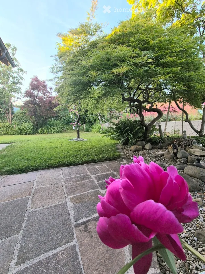 Charmantes 6.5-Zimmer-Einfamilienhaus in Oberhasli – Gepflegt, Modern und Familienfreundlich
