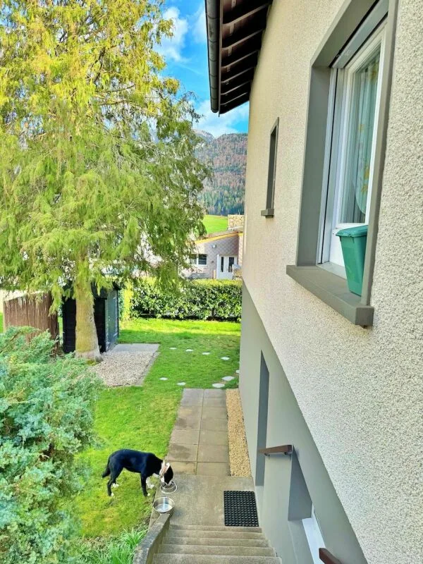 Einfamilienhaus 5.5 Zimmer in St-Imier – Foto 8 von 29