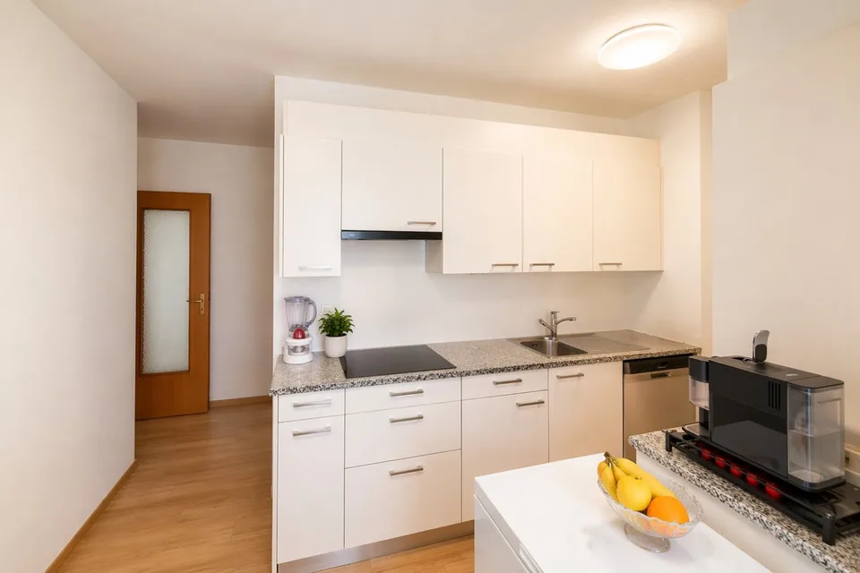3.5 locali, ristrutturato con box privato, Paradiso AV096-22