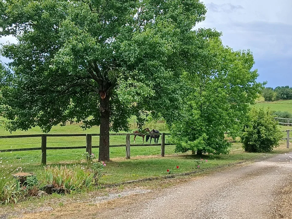 Propriété équestre de charme de 6 hectares, 231 m² habitables et dépendances