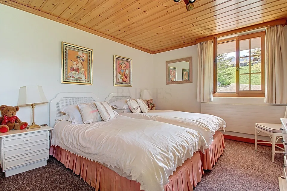 Magnifique chalet avec vue imprenable