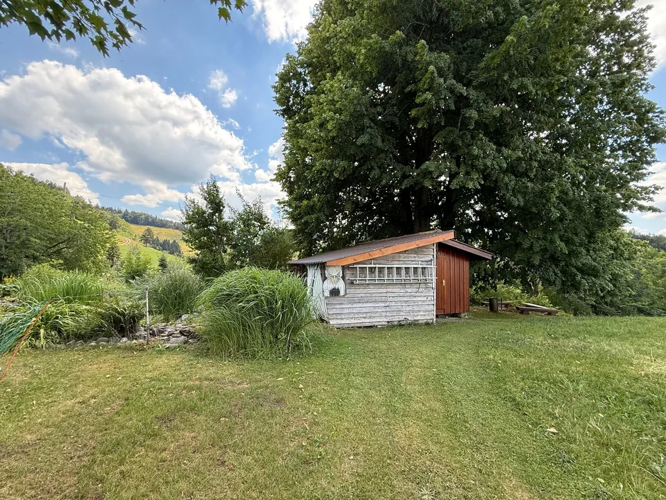 Where Toggenburg is at home – photo 9 of 11