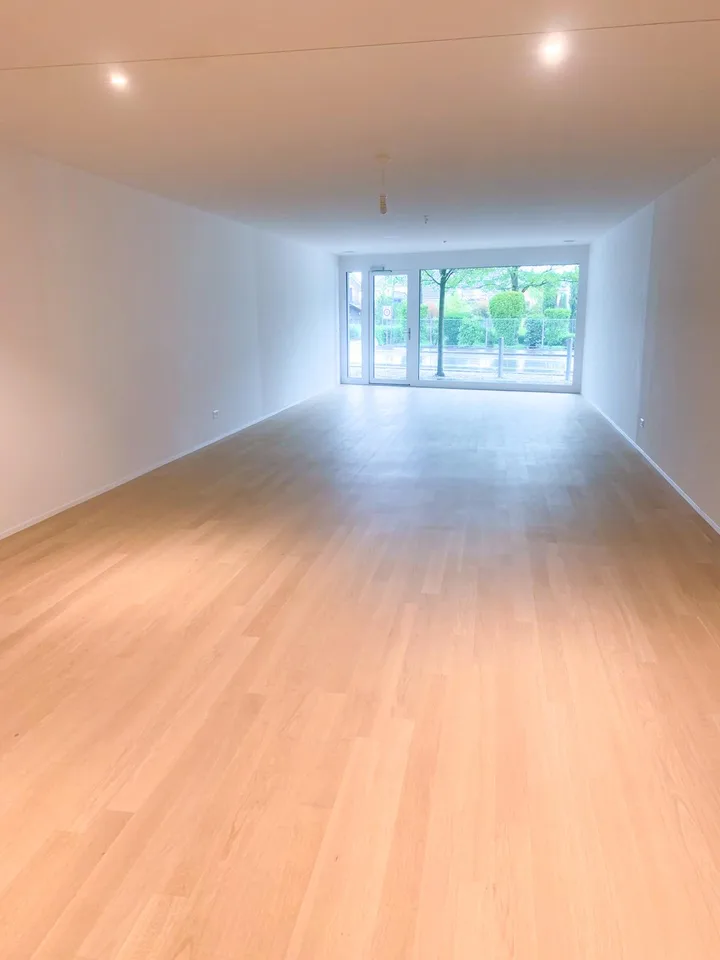 Künstleratelier oder Gewerbe im schönen Romanshorn