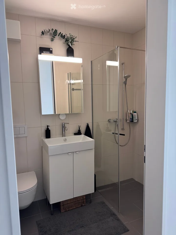 4 ½ Zimmer-Wohnung, 8045 Zürich