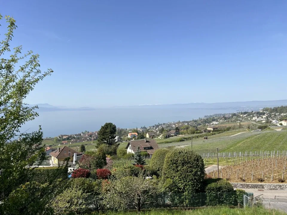 Traumhaftes Anwesen zwischen See und Weinbergen, in absoluter Privatsphäre