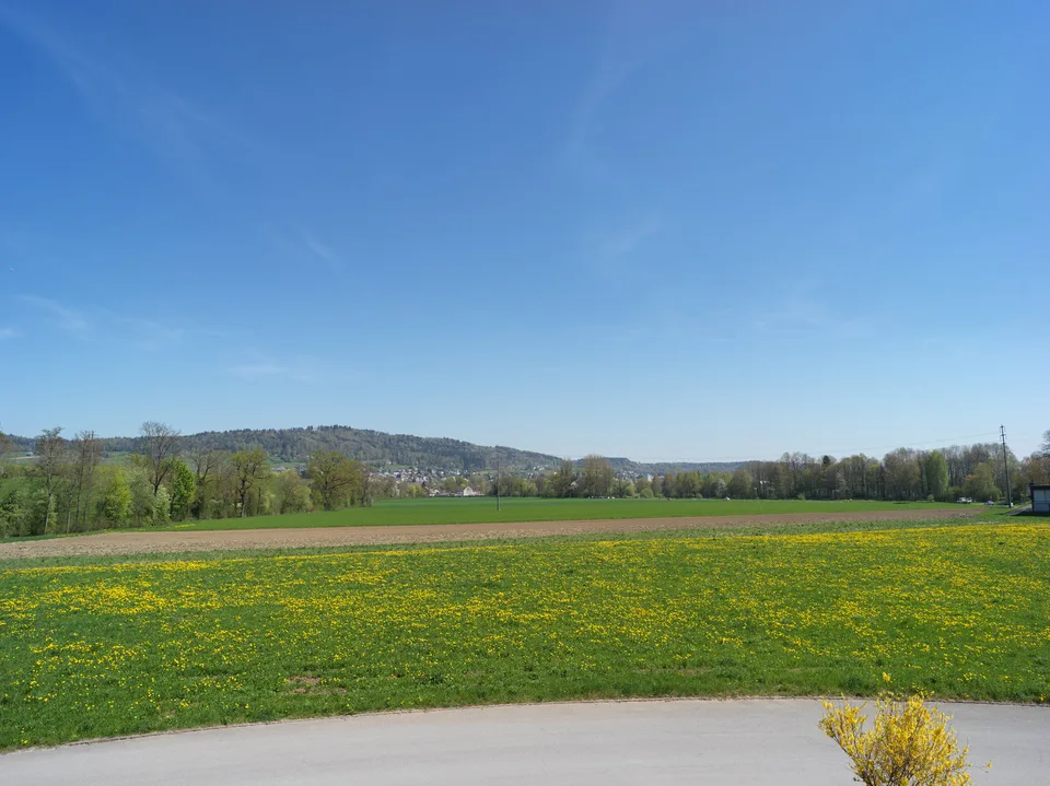Commercial space with a view in Unterengstringen – photo 7 of 9