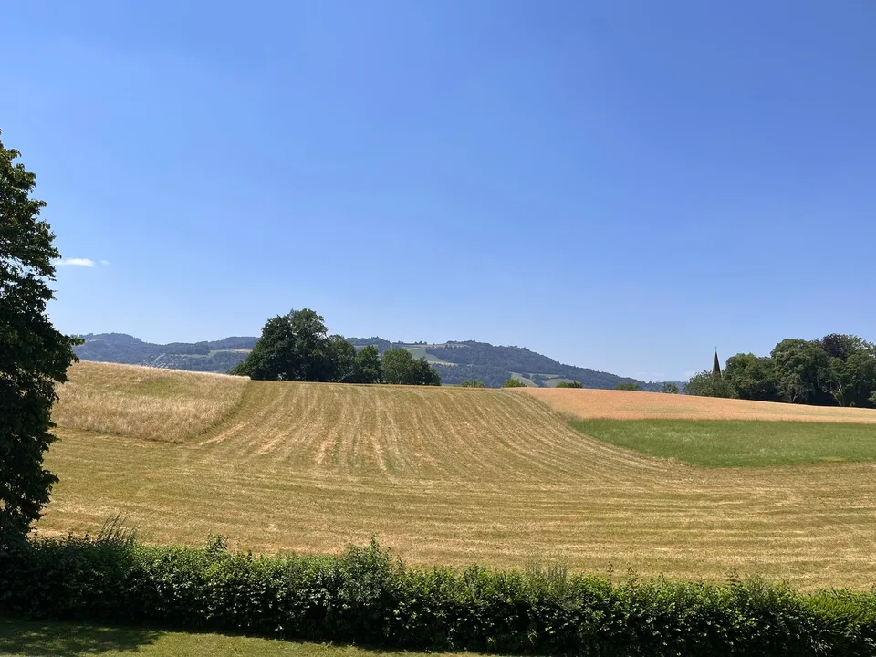 Appartamento di 4,5 locali adatto ai bambini nel quartiere di Seidenberg con vista sul Gurten