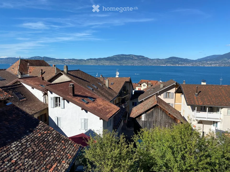Wohnung 4.5 Zimmer - Duplex