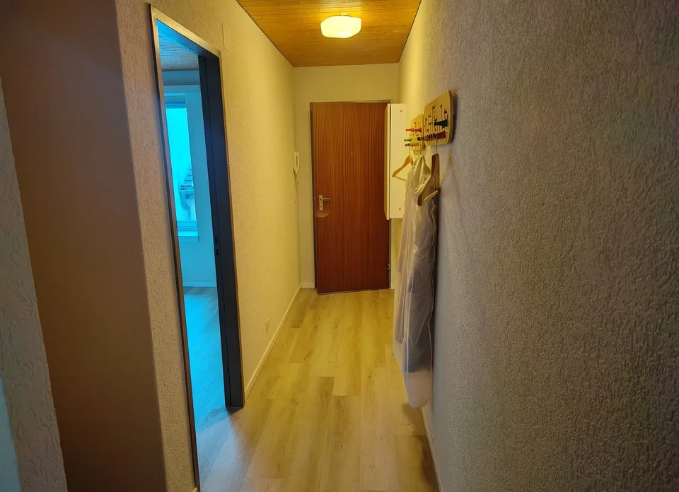Appartamento nel cuore di Liestal