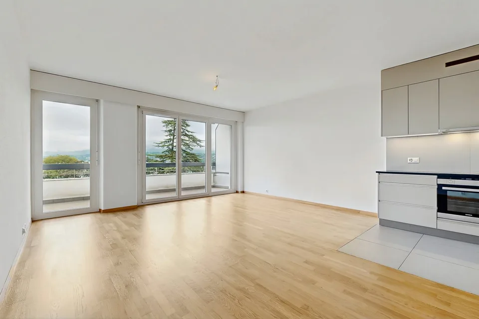 Vivere in un appartamento moderno, a due passi dal Lago di Ginevra!