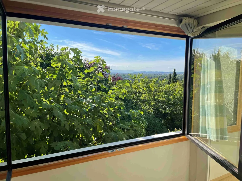 7 Zimmer Villa in Riehen – Foto 15 von 23