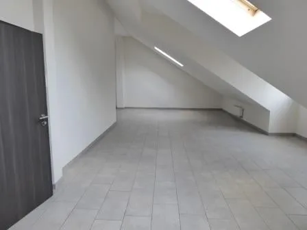 Schönes 3 1/2-Zimmer-Duplex-Apartment