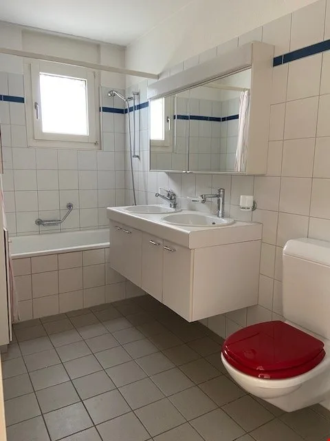 Zentrale 4.5-Zimmer-Attika-Wohnung mit riesiger Terrasse