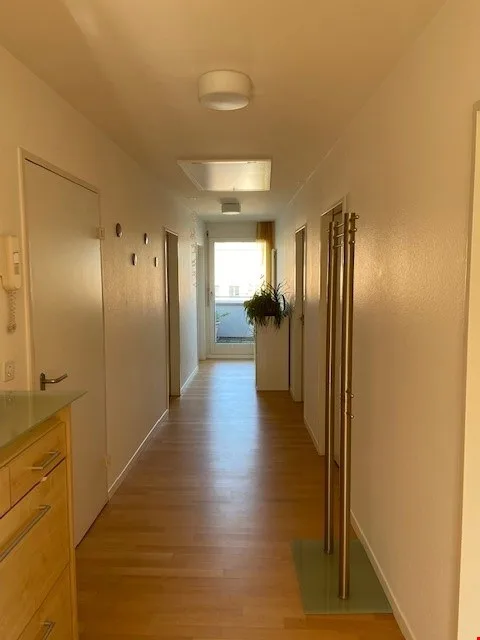 Zentrale 4.5-Zimmer-Attika-Wohnung mit riesiger Terrasse