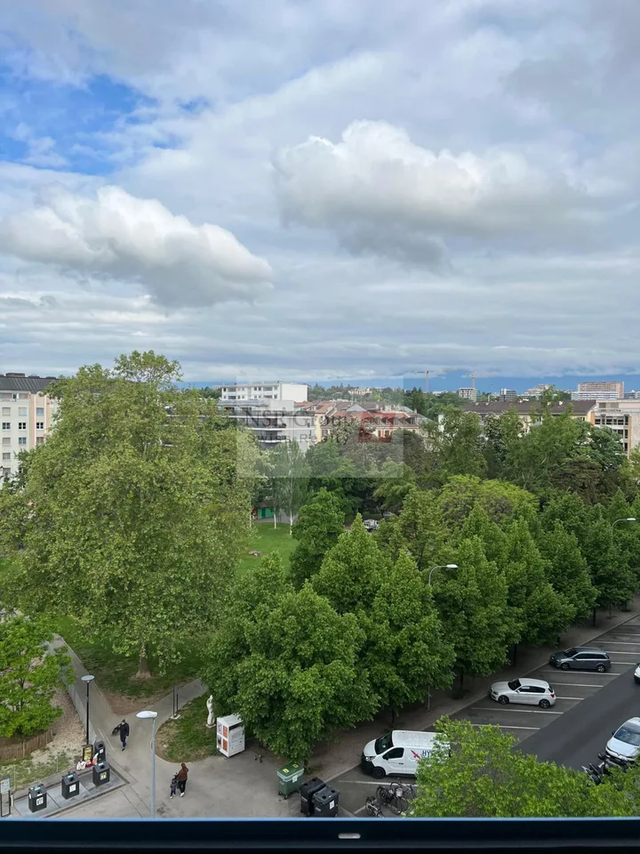 Élégant 5 pièces rénové dans le quartier prisé de Carouge