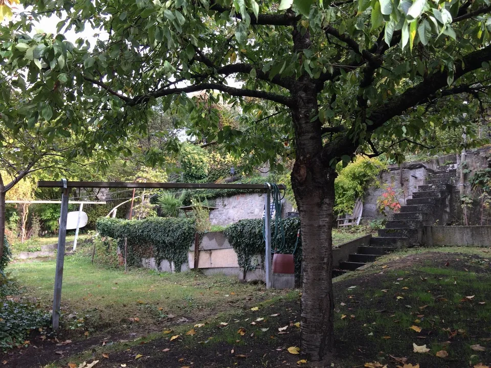 Neues Heim mit eigenem Schlossgarten gewünscht? – Foto 15 von 16