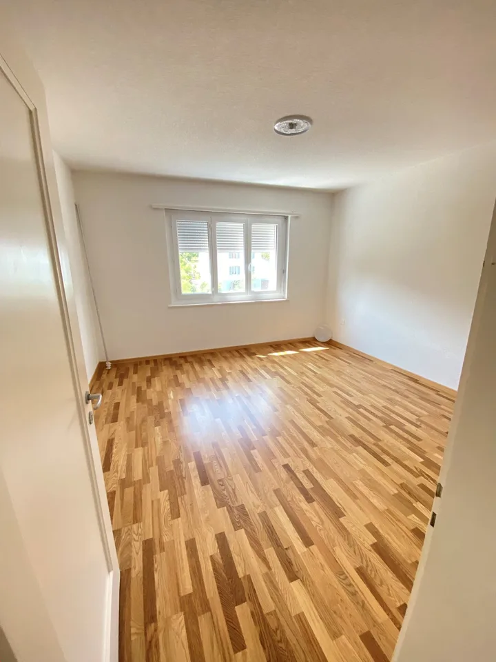 Ampio appartamento di 4.5 locali con balcone