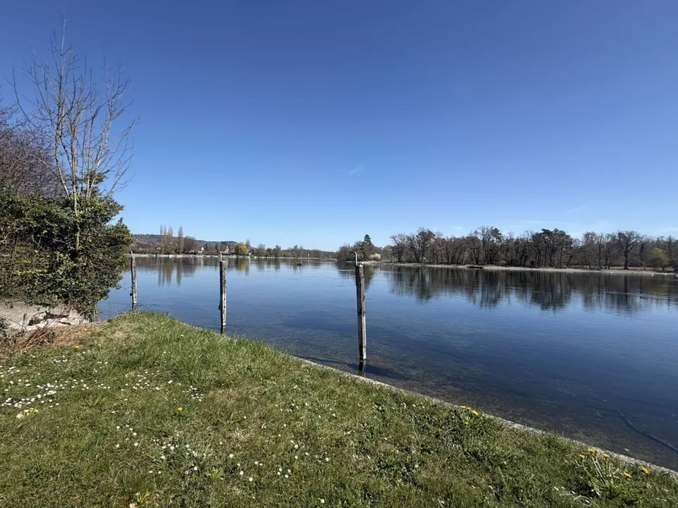 Wohnqualität direkt am Rhein im Büsinger Rheinparadies