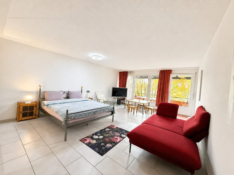 🌿 Bright Modern Studio with Balcony & Garden Access | Minutes from Zürich HB