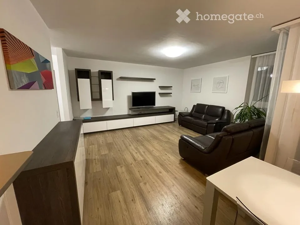 Mendrisio, 4,5-Zimmer-Wohnung (teilweise möbliert)