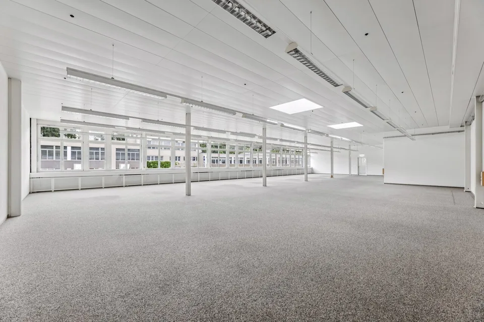Bright, flexible commercial space in Muri