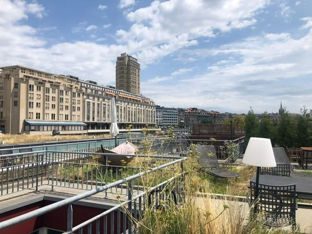 Appartement-loft au coeur du Flon avec terrasse privative en toiture
